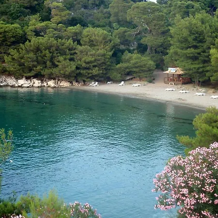 Seaside Secluded Cove Blaca, Mljet - 615 아파트 사플루나라