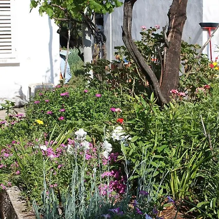 Seaside Secluded Cove Blaca, Mljet - 615 Saplunara