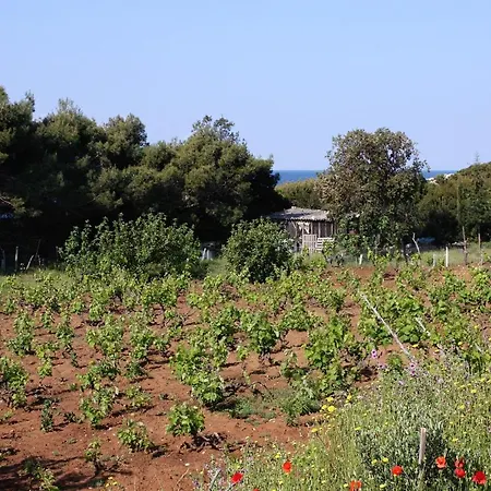 Seaside Secluded Cove Blaca, Mljet - 615 *