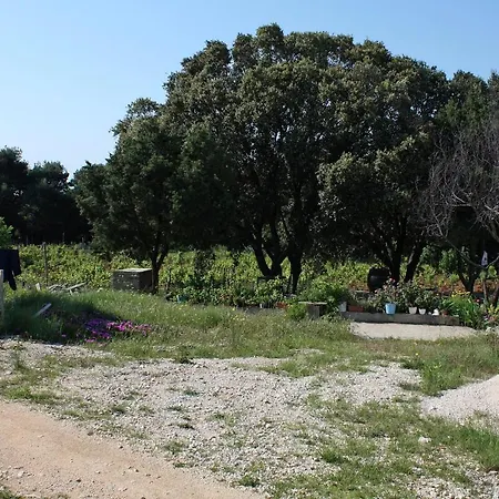 Seaside Secluded Cove Blaca, Mljet - 615 * Saplunara