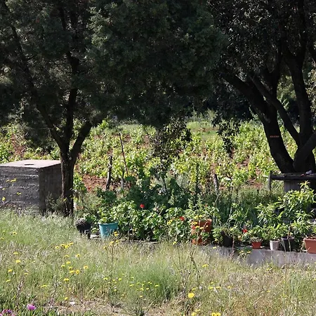 Appartement Seaside Secluded Cove Blaca, Mljet - 615 Saplunara