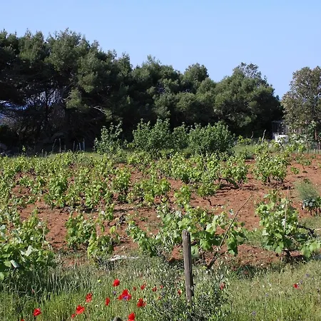 Seaside Secluded Cove Blaca, Mljet - 615