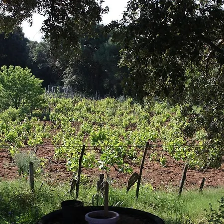 Apartmán Seaside Secluded Cove Blaca, Mljet - 615 *