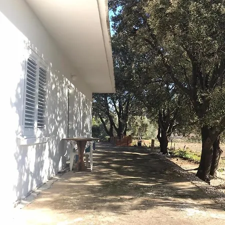 Seaside Secluded Cove Blaca, Mljet - 615 Appartement *