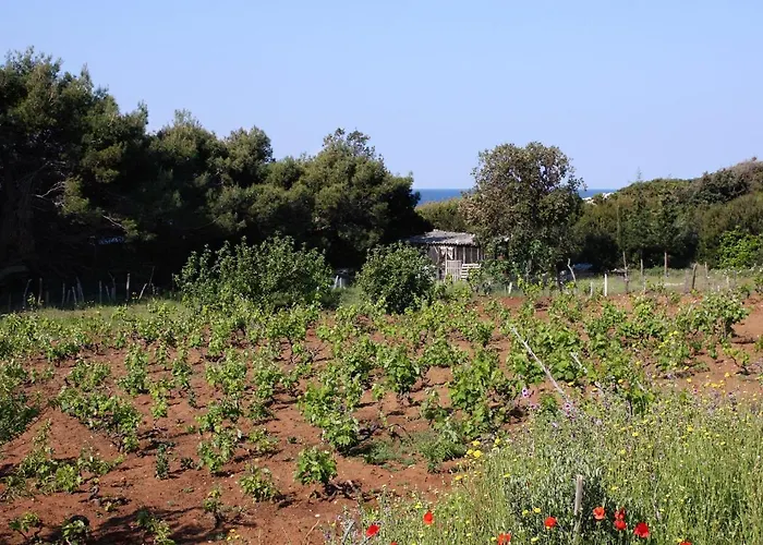 Seaside Secluded Cove Blaca, Mljet - 615 *
