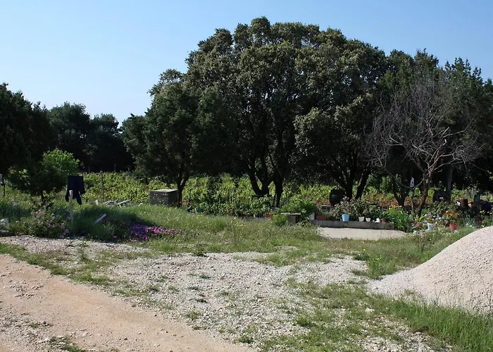 Seaside Secluded Cove Blaca, Mljet - 615 * Saplunara