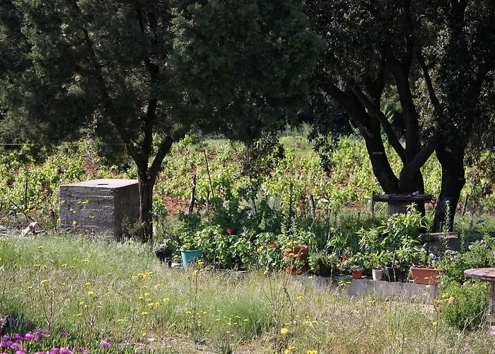 Apartmán Seaside Secluded Cove Blaca, Mljet - 615 Saplunara