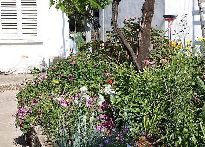 Seaside Secluded Cove Blaca, Mljet - 615 Saplunara