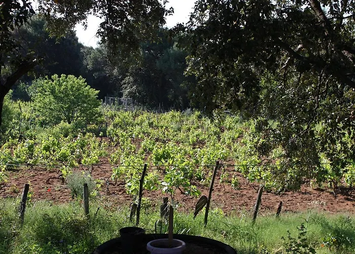 Apartmán Seaside Secluded Cove Blaca, Mljet - 615 *